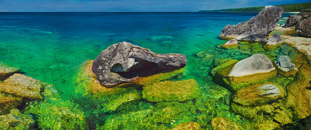 Orca, turtles, bird - Halfway Dump, Bruce Peninsula
            National Park, Ontario