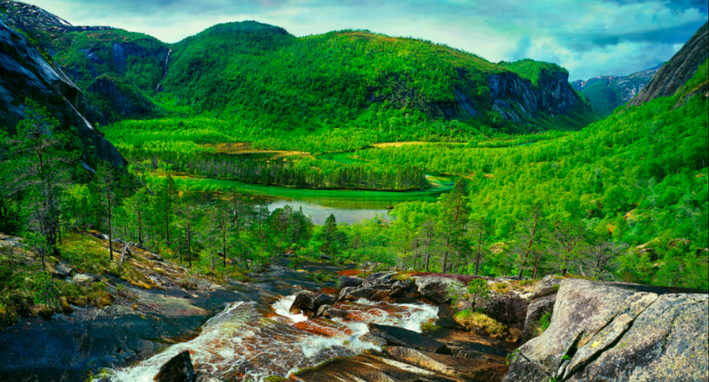 Rago National Park in spring Norway, at arctic circle